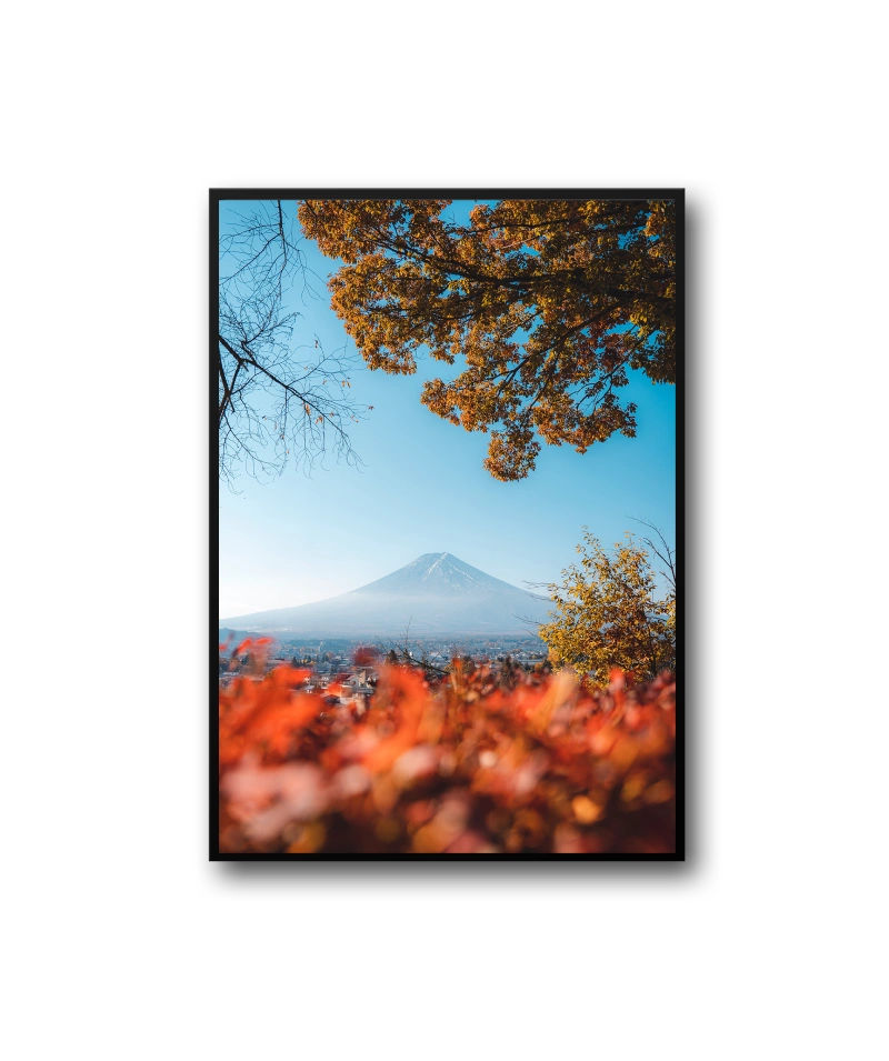 Peach Frame – Image 3
